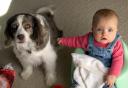 Ally and Josie