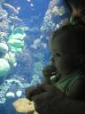 aquarium-1.jpg