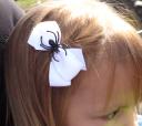 barrette.jpg