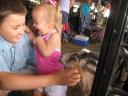 fair-goat-2.jpg