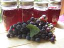 grapes-1.jpg