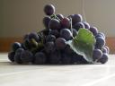 grapes-2.jpg