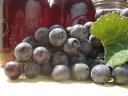 grapes-3.jpg