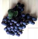 grapes-4.jpg
