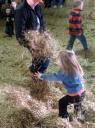 hay-2.jpg