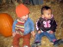 pumpkin-3.jpg