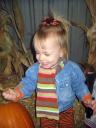 punpkin-4.jpg