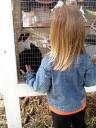 rabbits-1.jpg